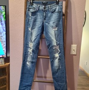 Flying Monkey Skinny Jeans